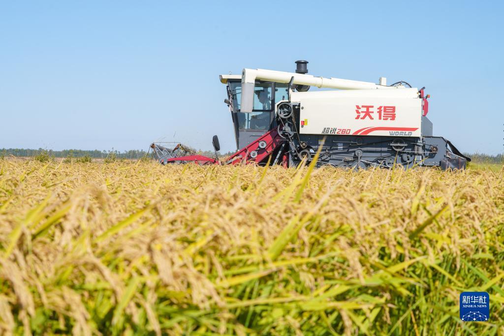 沙巴现金网